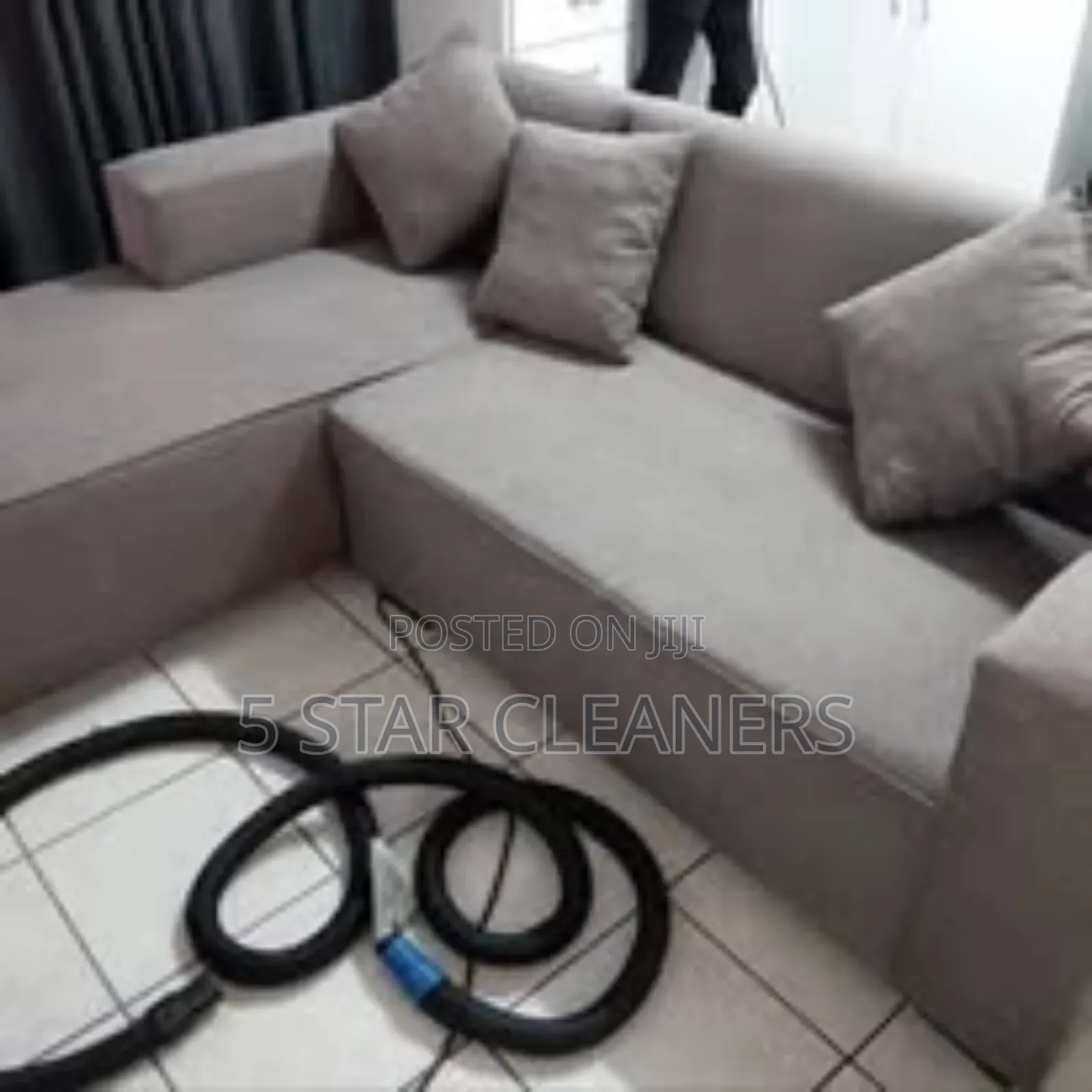 Household Cleaners- Sofa/ Carpet /Mattress and Other Upholstery