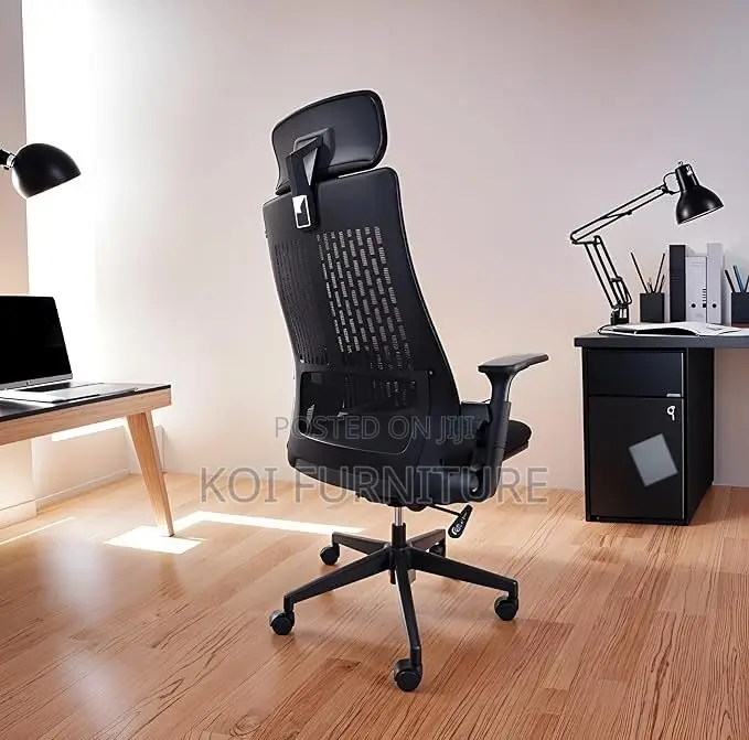 Office Chair : Lama Orthopedic Ergonomic Office Chair