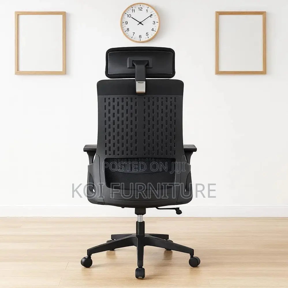 Office Chair : Lama Orthopedic Ergonomic Office Chair
