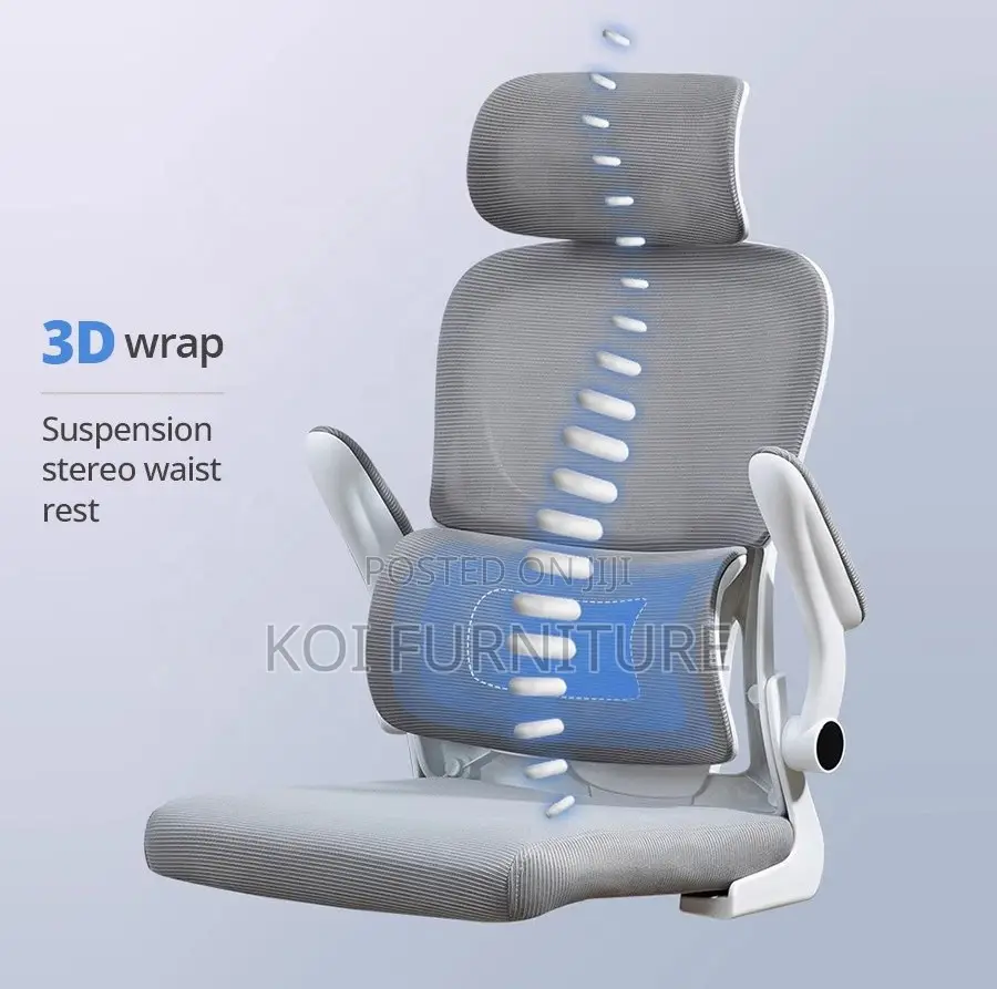 Office Chair : Executive Ergonomic Office Chair