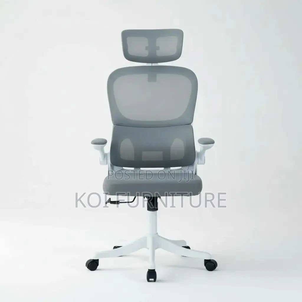 Office Chairs; Orthopedic Reclining Office Chairs