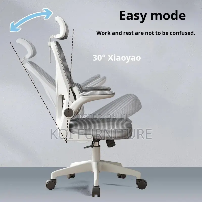 Office Chairs; Orthopedic Reclining Office Chairs