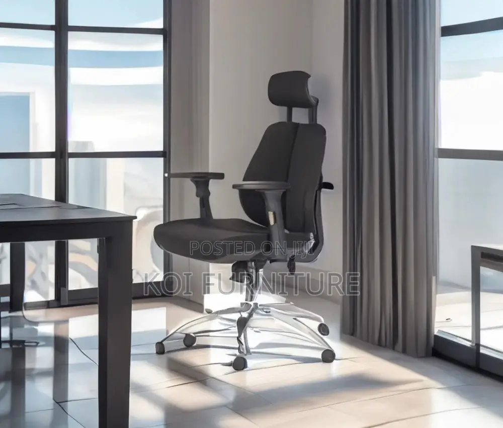 Office Chairs; Modern Orthopedic Chair With Dual Backrest