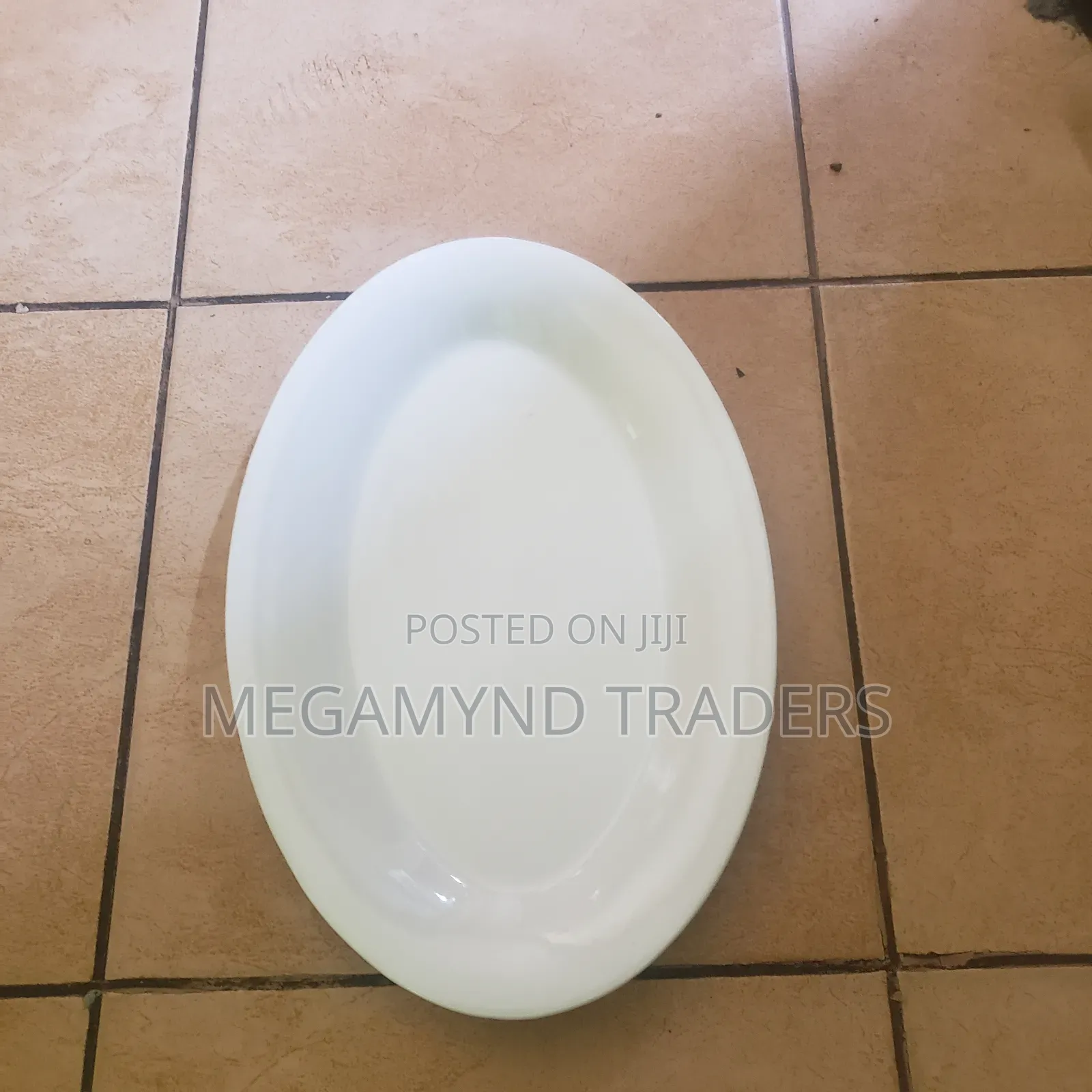Ceramic Oval Platter 14 Inch / Oval Serving Plate