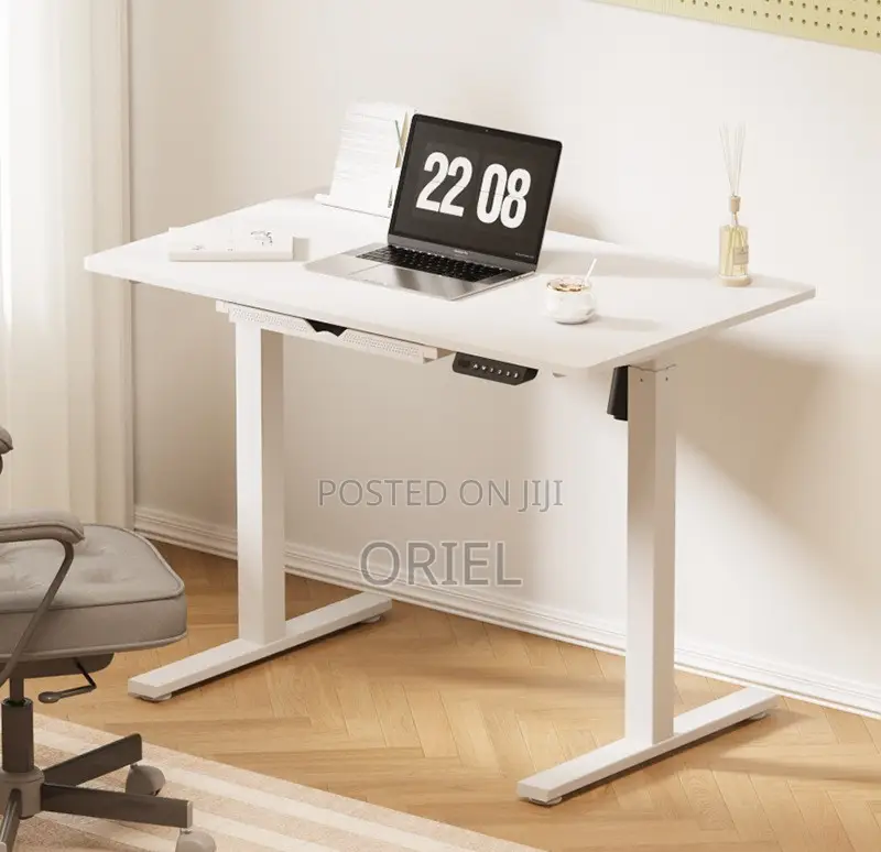 Standing Desks: Electric Standing Desk for Home Office