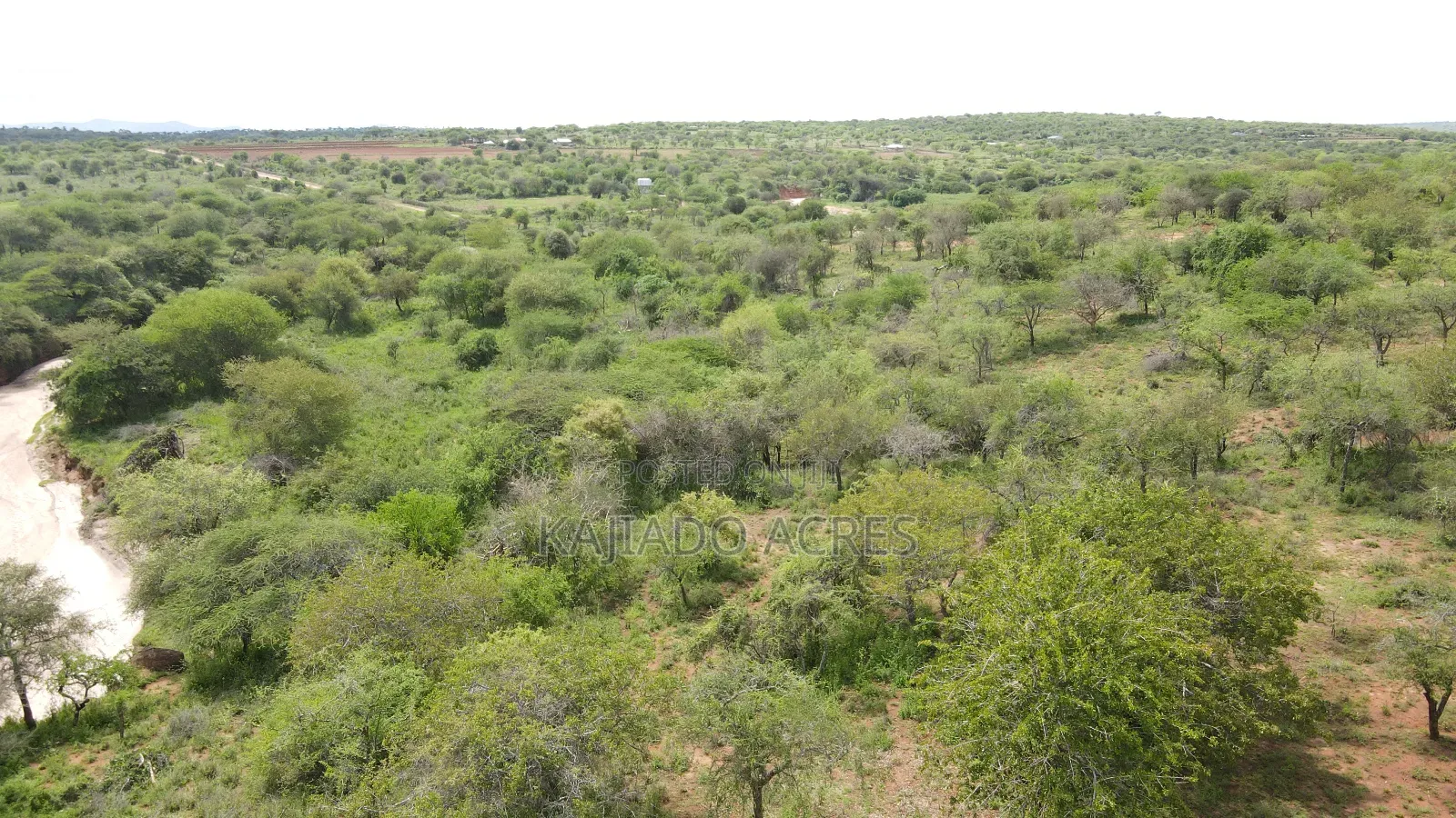6 Acres Mashuru at 350kPer Acre