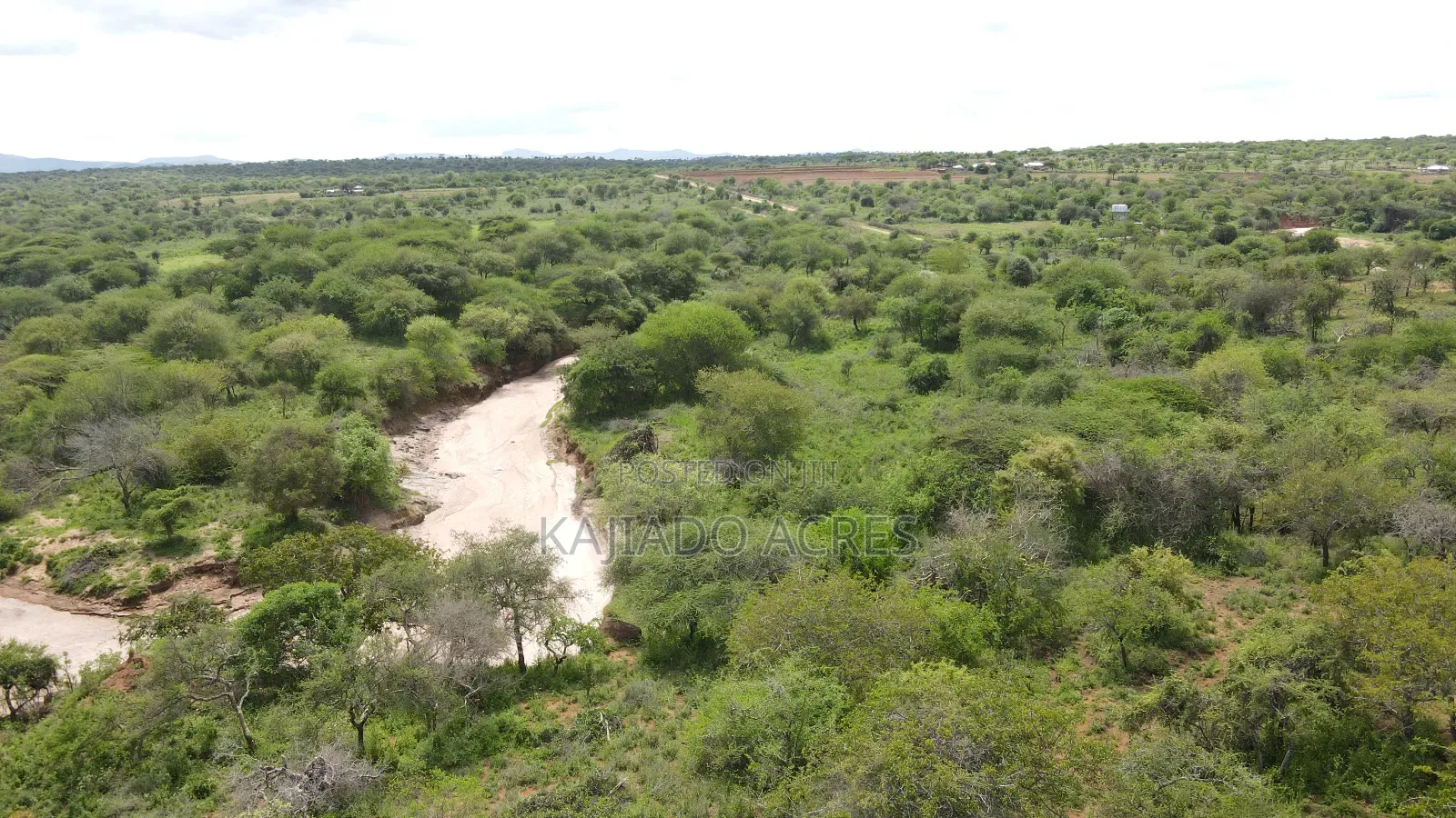 6 Acres Mashuru at 350kPer Acre