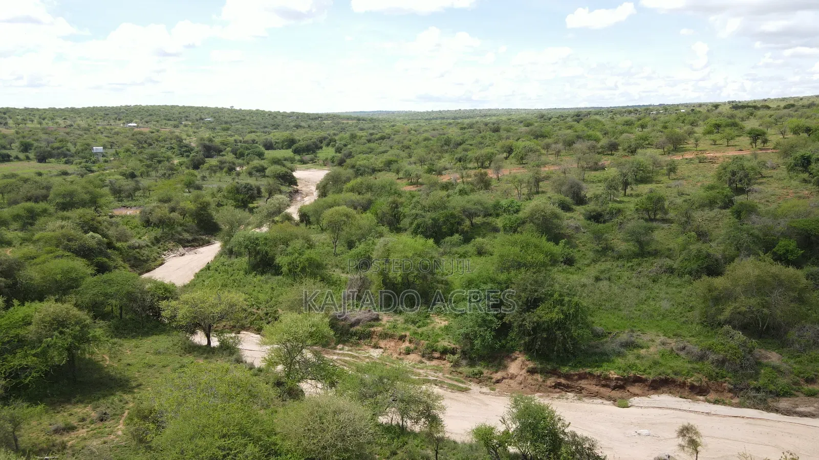 6 Acres Mashuru at 350kPer Acre