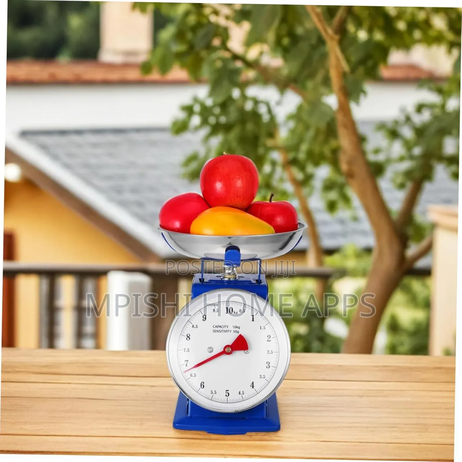 Manual Kitchen Scale 10kg