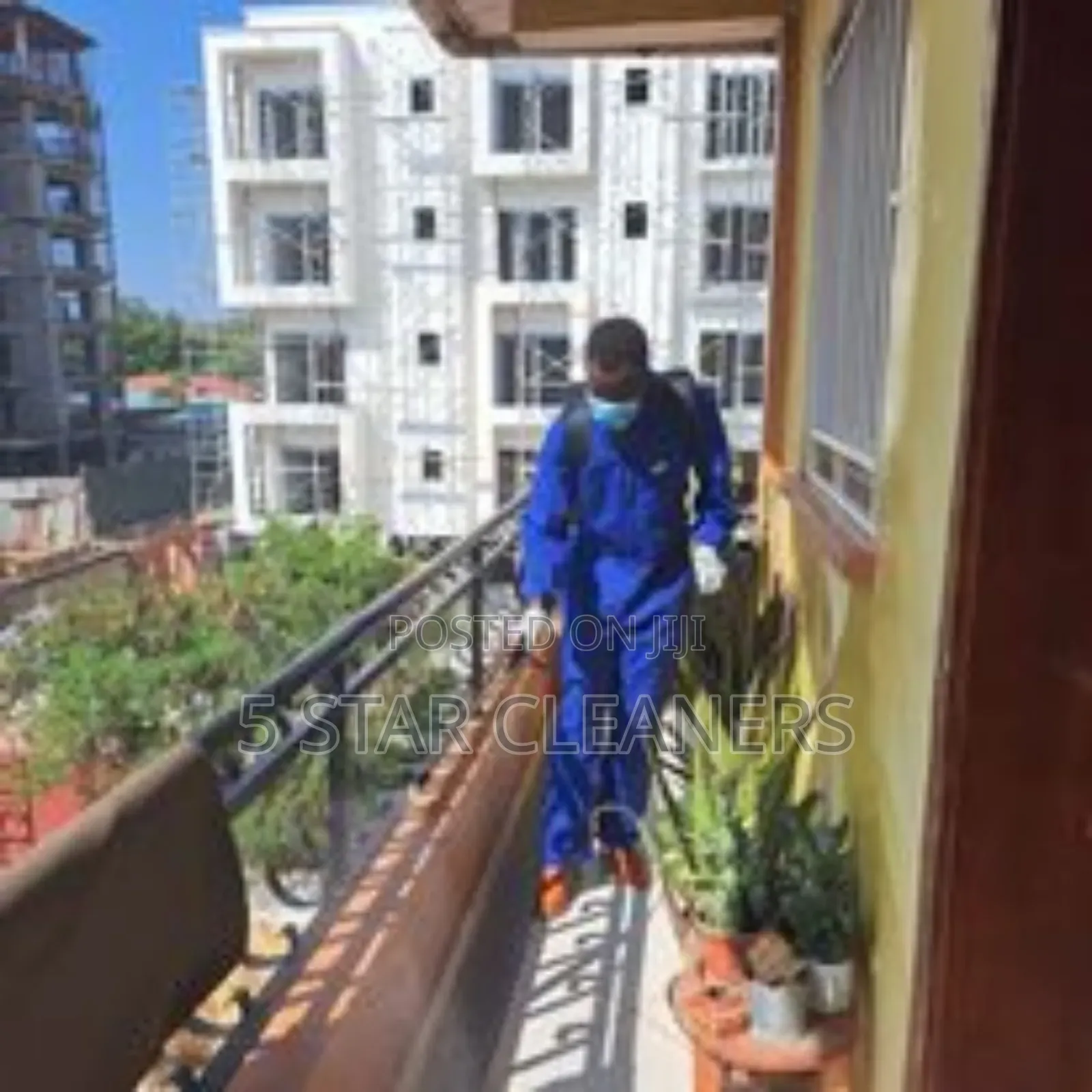 Household Pests Fumigation