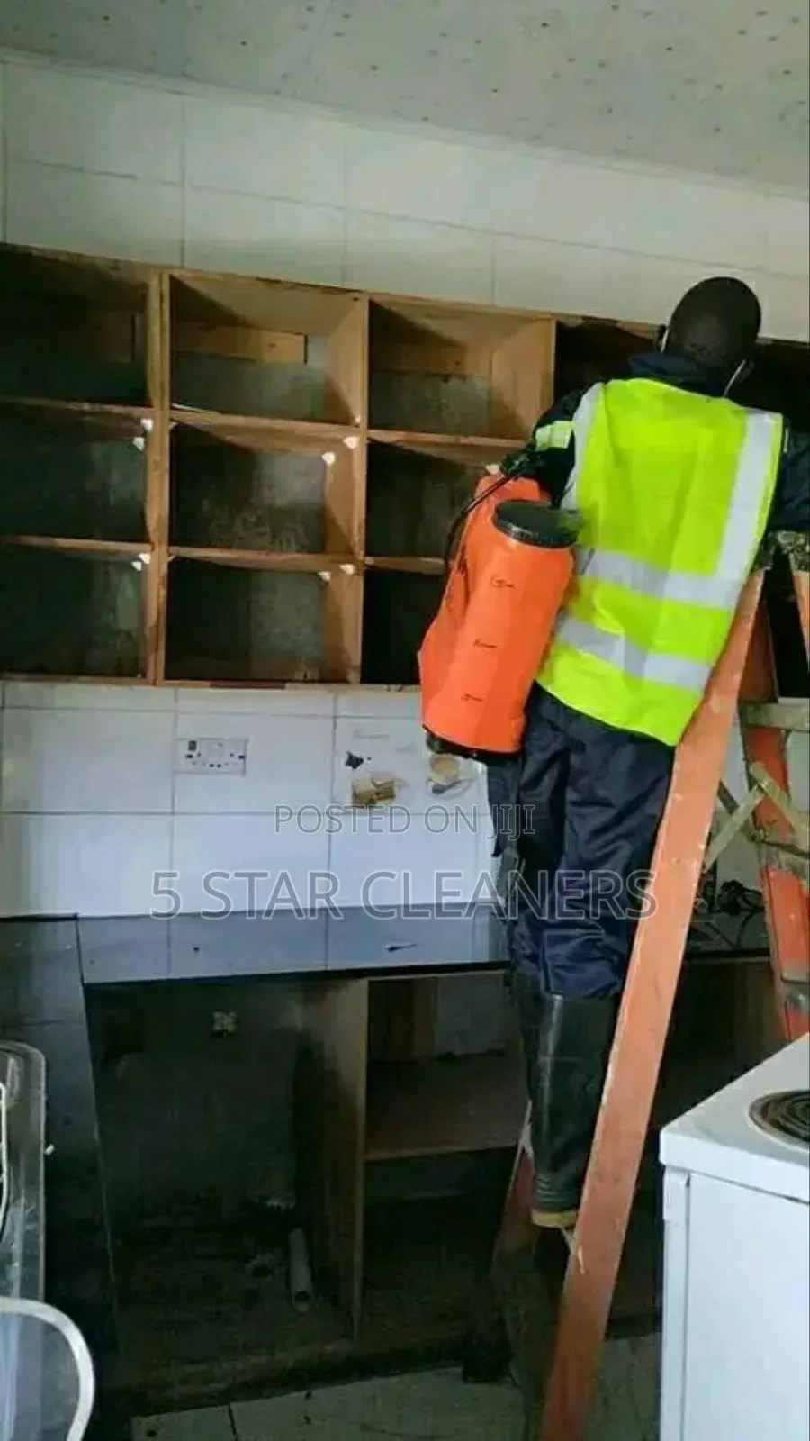 Resilient Bedbugs/Cockroaches Elimination/Fumigation