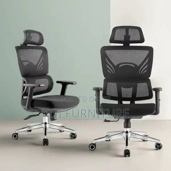 Office Chairs; High Back Premium Orthopedic Executive Office Seat