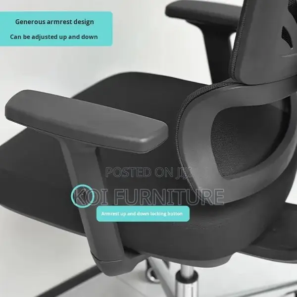 Office Chairs; High Back Premium Orthopedic Executive Office Seat
