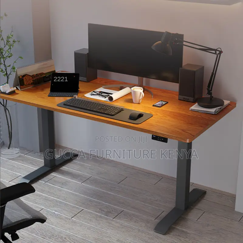 Imported Ergonomic Electric Adjustable Table