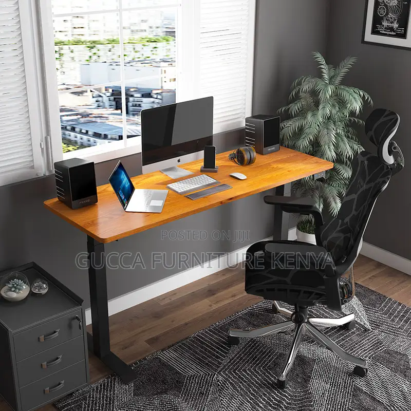 Imported Ergonomic Electric Adjustable Table