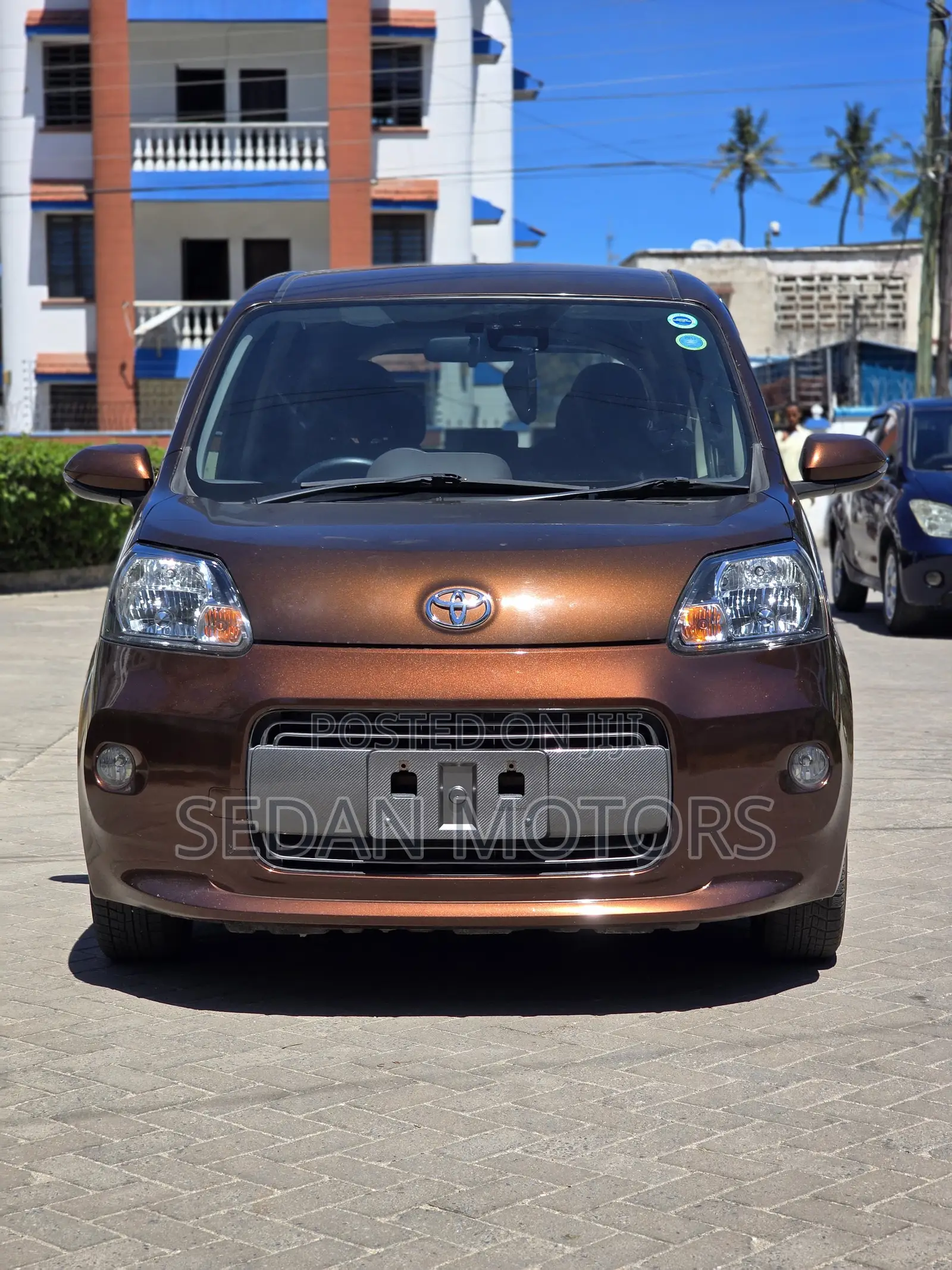 Toyota Porte 2019 Brown