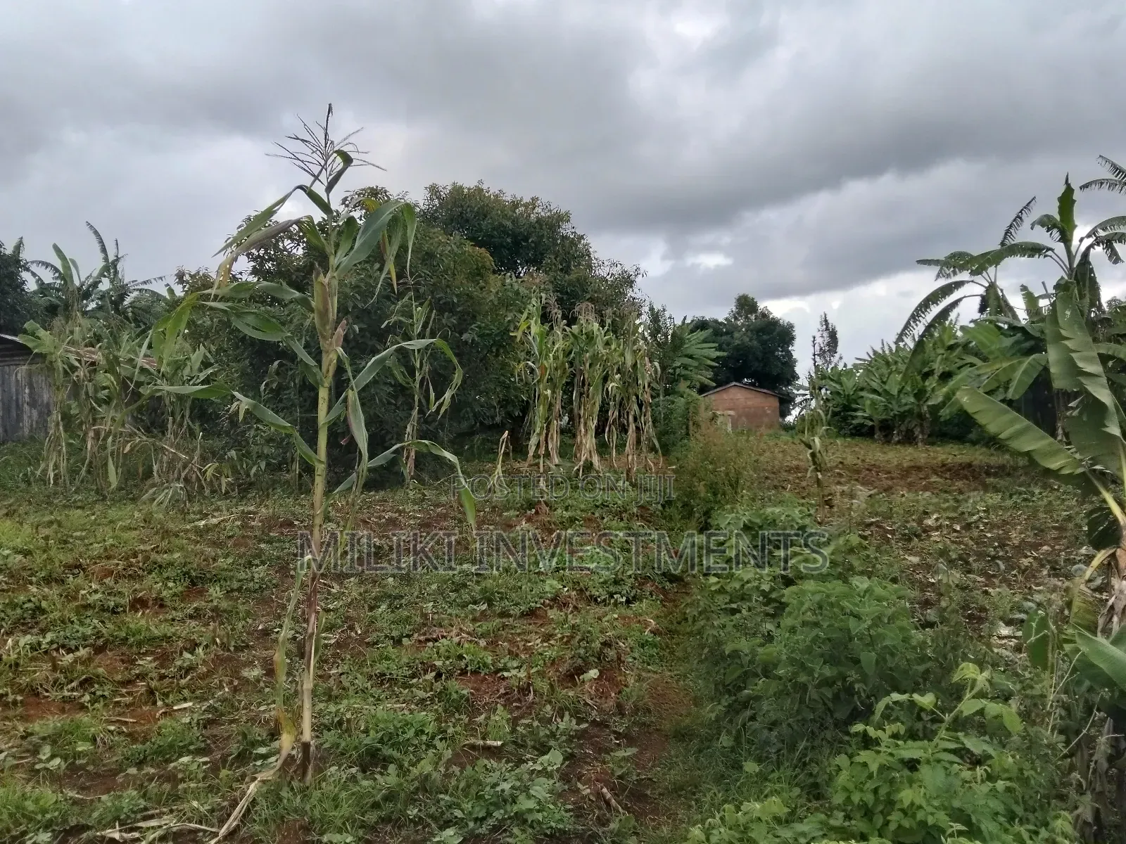 3 Acres of Land on Sale at Giturū -Kangari