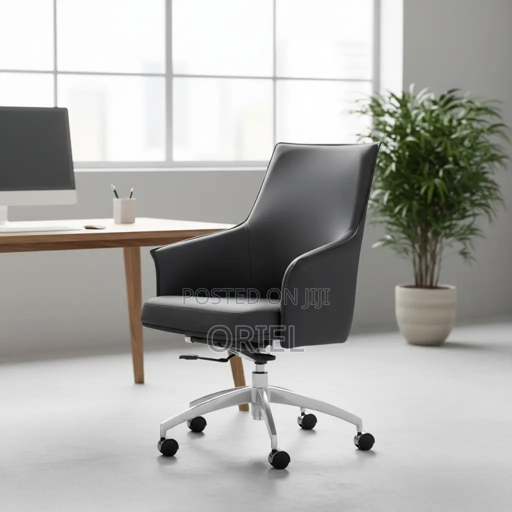 Office Chair : Lumbar Support Ergonomic Office Chair