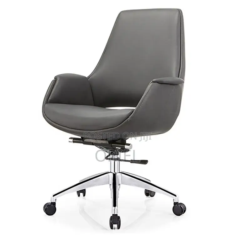 Office Chair : Lumbar Support Ergonomic Office Chair