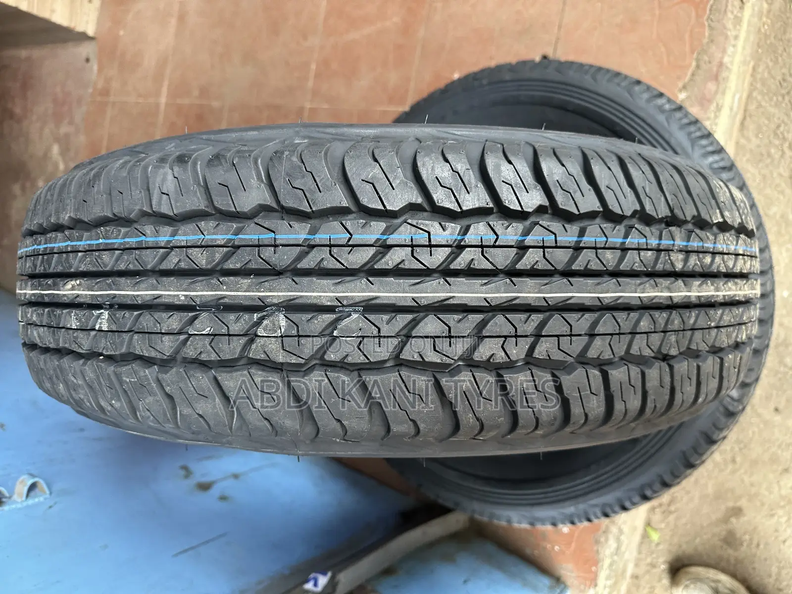 225/70r17 Dunlop Tires At20
