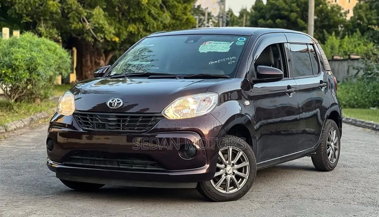 Toyota Passo 2019 Brown
