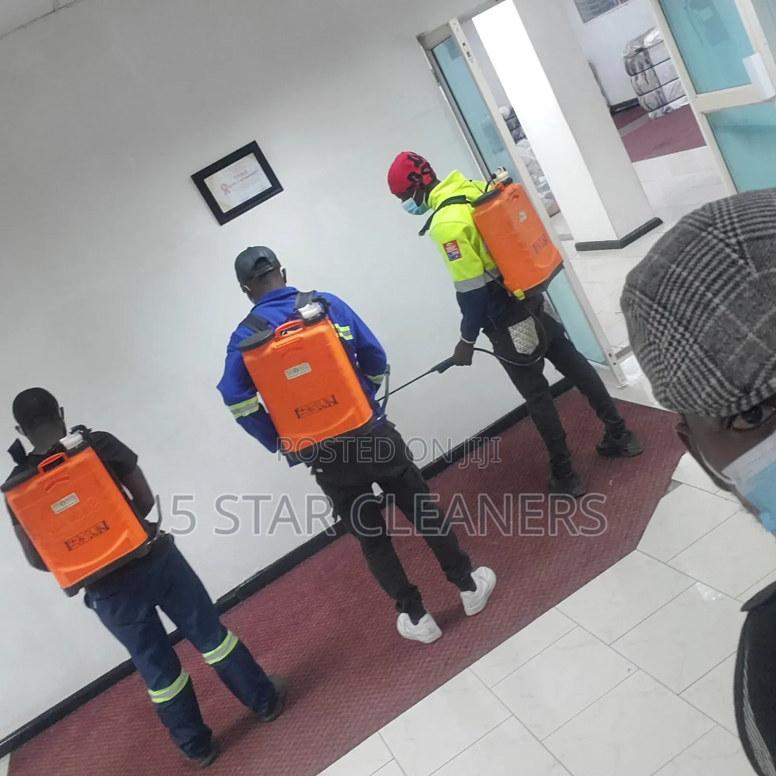 Bedbugs/Kunguni Fumigation