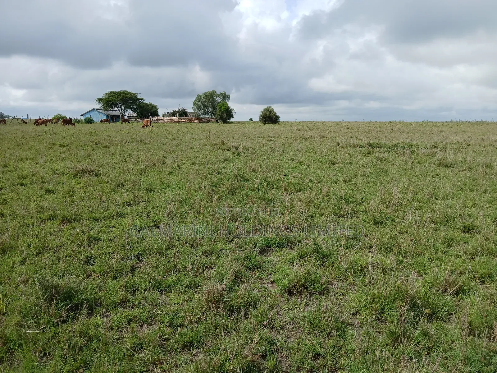 Distress Deal! 3 Prime Acres 1km Off Kiserian-Isinya Tarmac