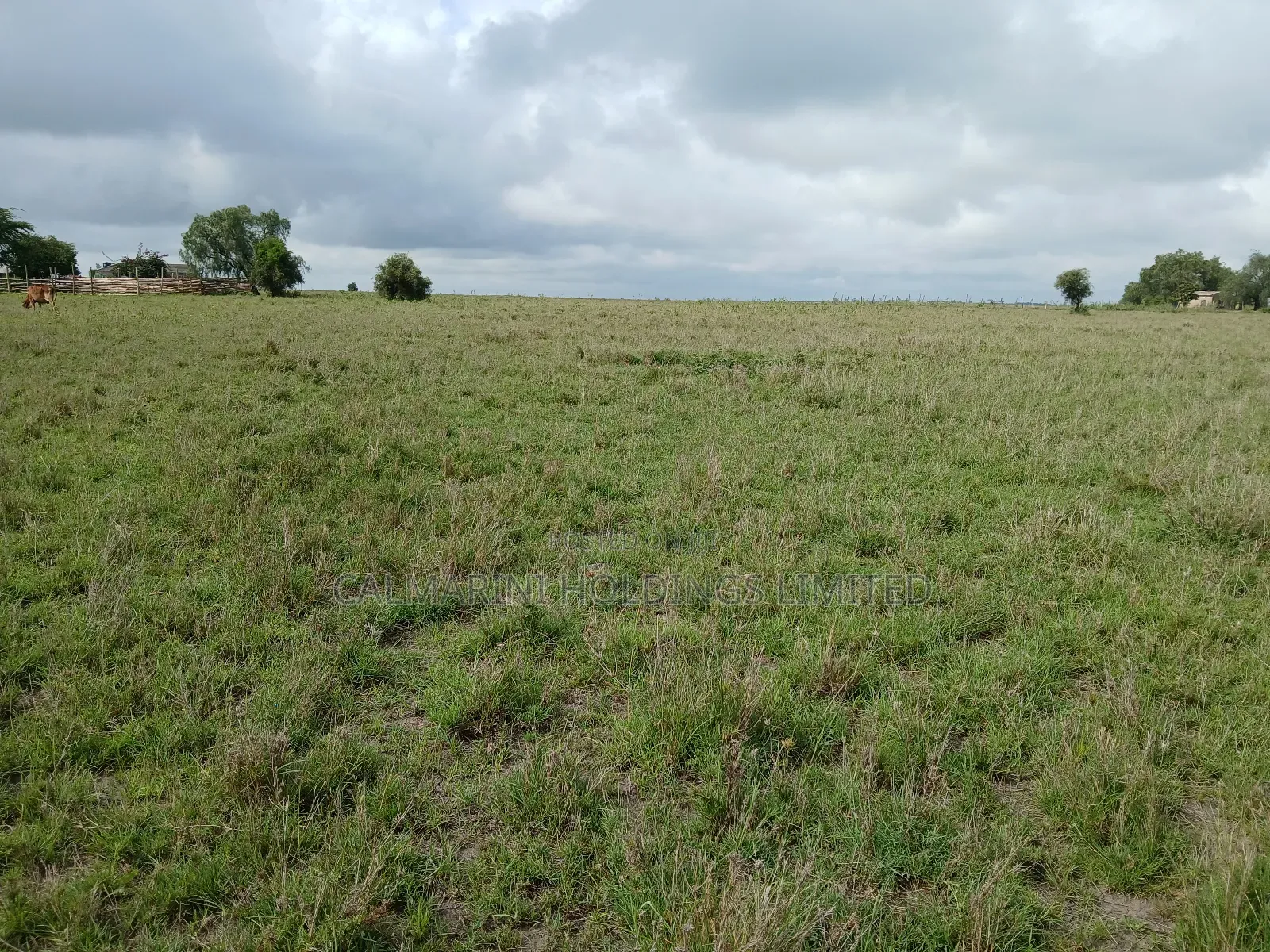 Distress Deal! 3 Prime Acres 1km Off Kiserian-Isinya Tarmac
