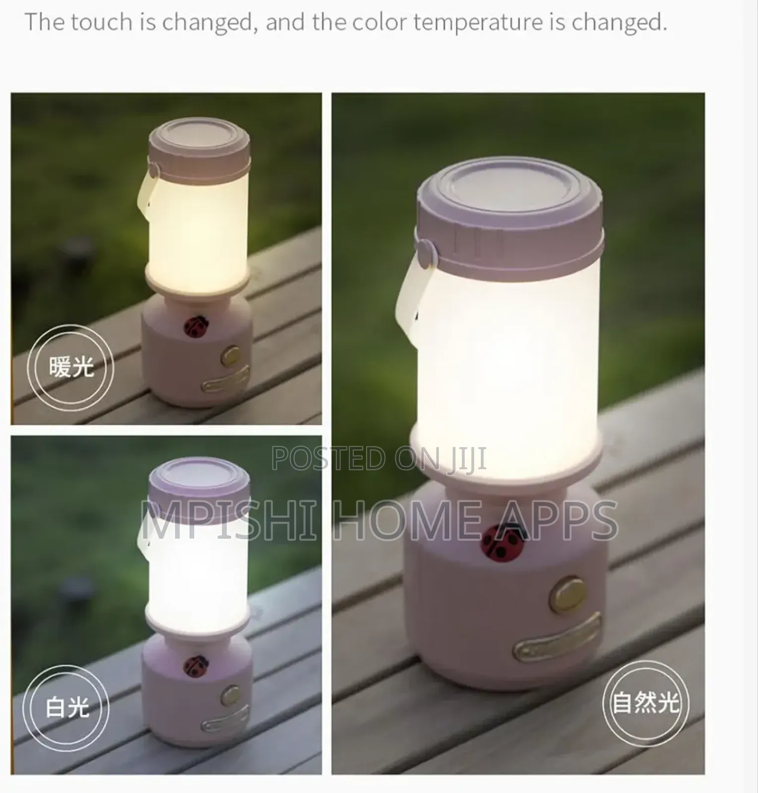 Rechargeable Ladybird Decorative Camping Lamp