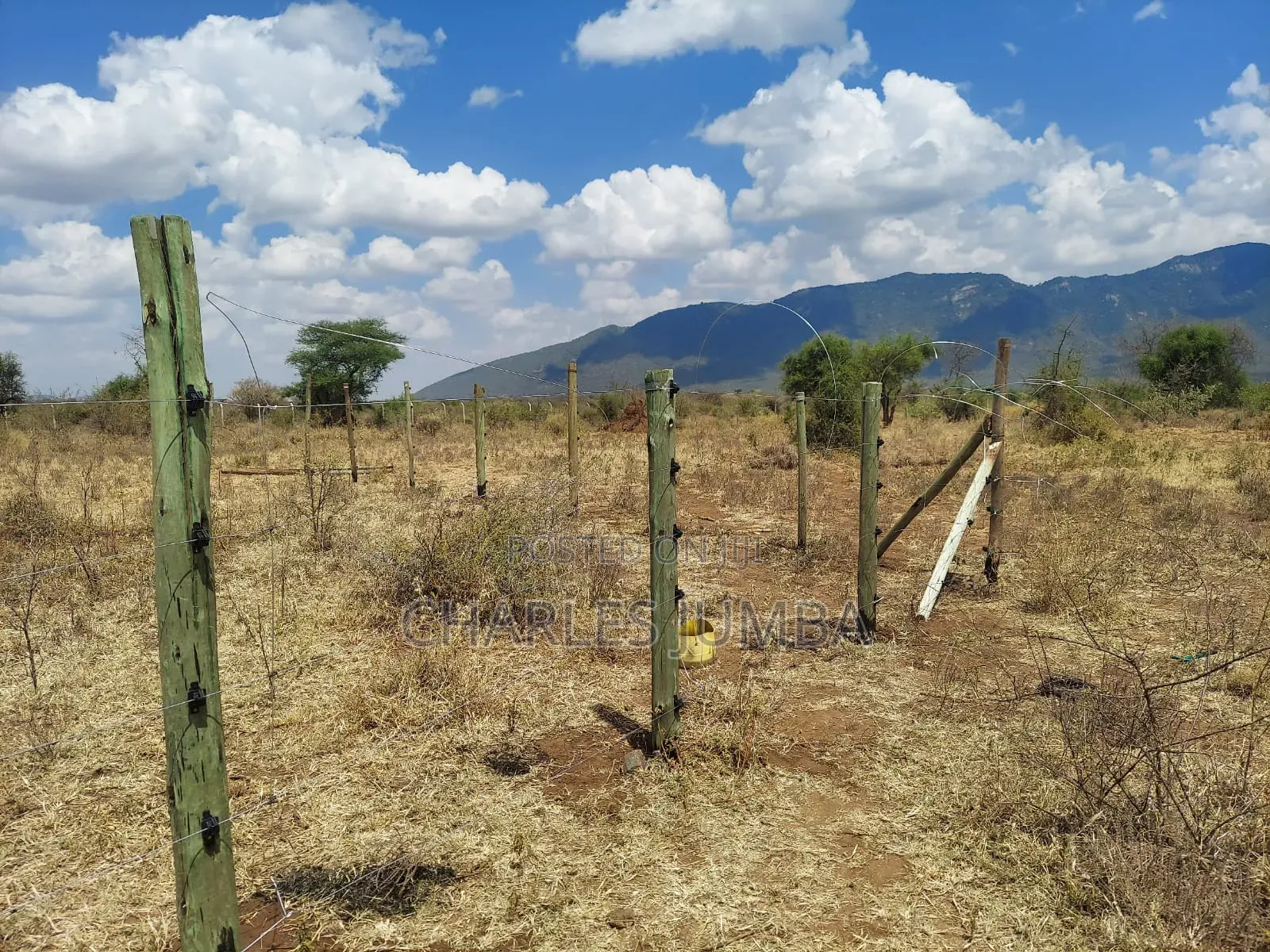5 Acres Near Namanga