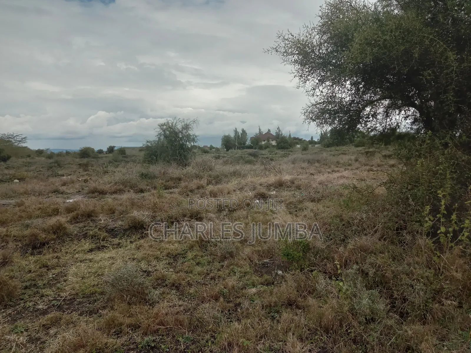 Prime Plot at Korompoi