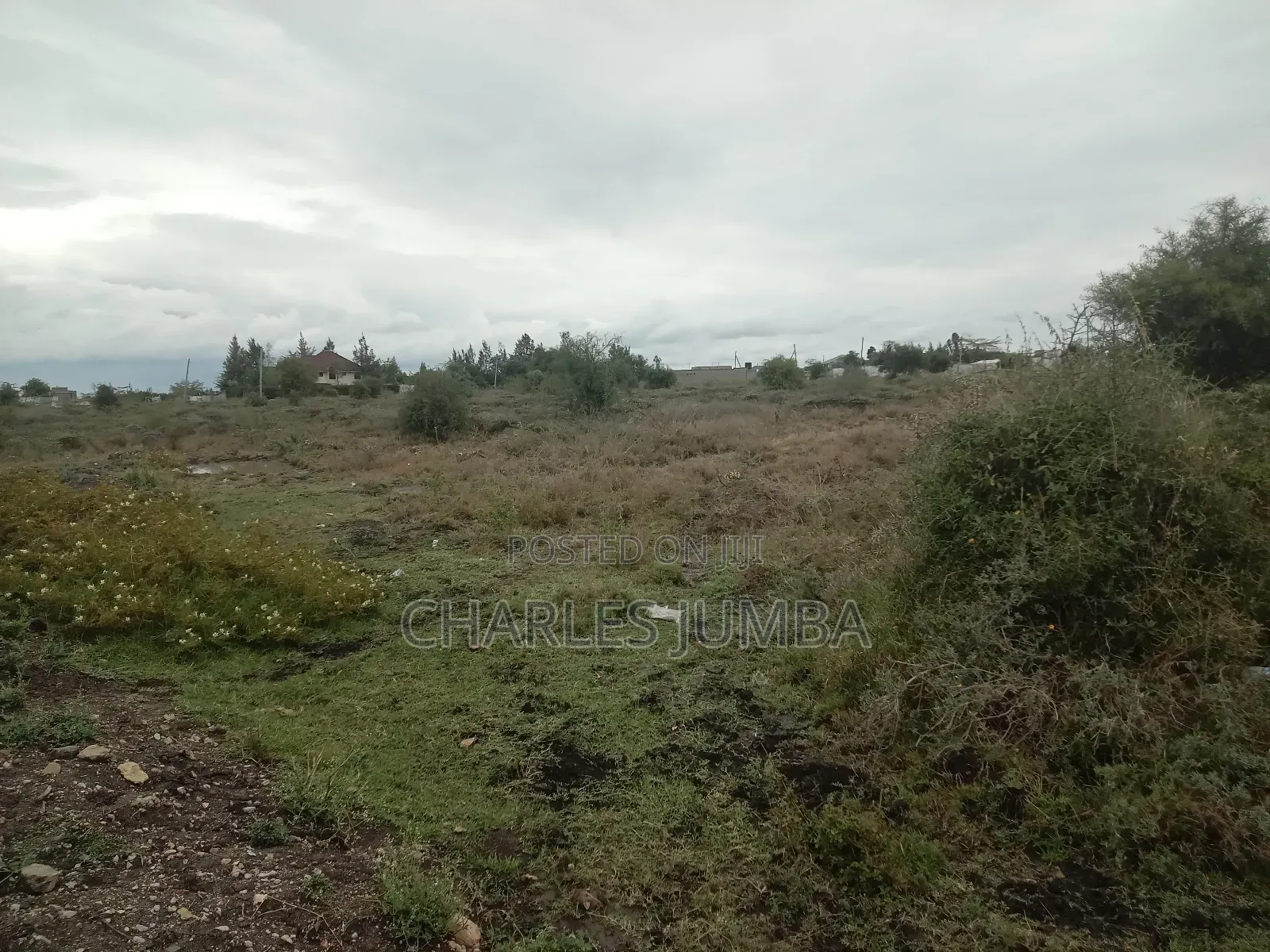 Prime Plot at Korompoi