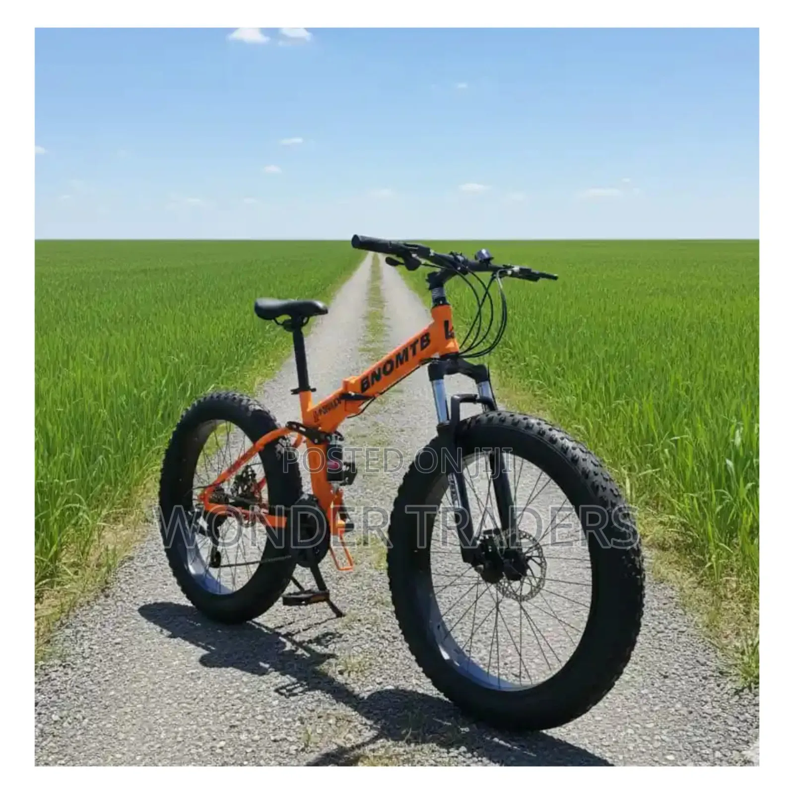 Flat Bike/ Foldable Fat Bike With Dual Suspension