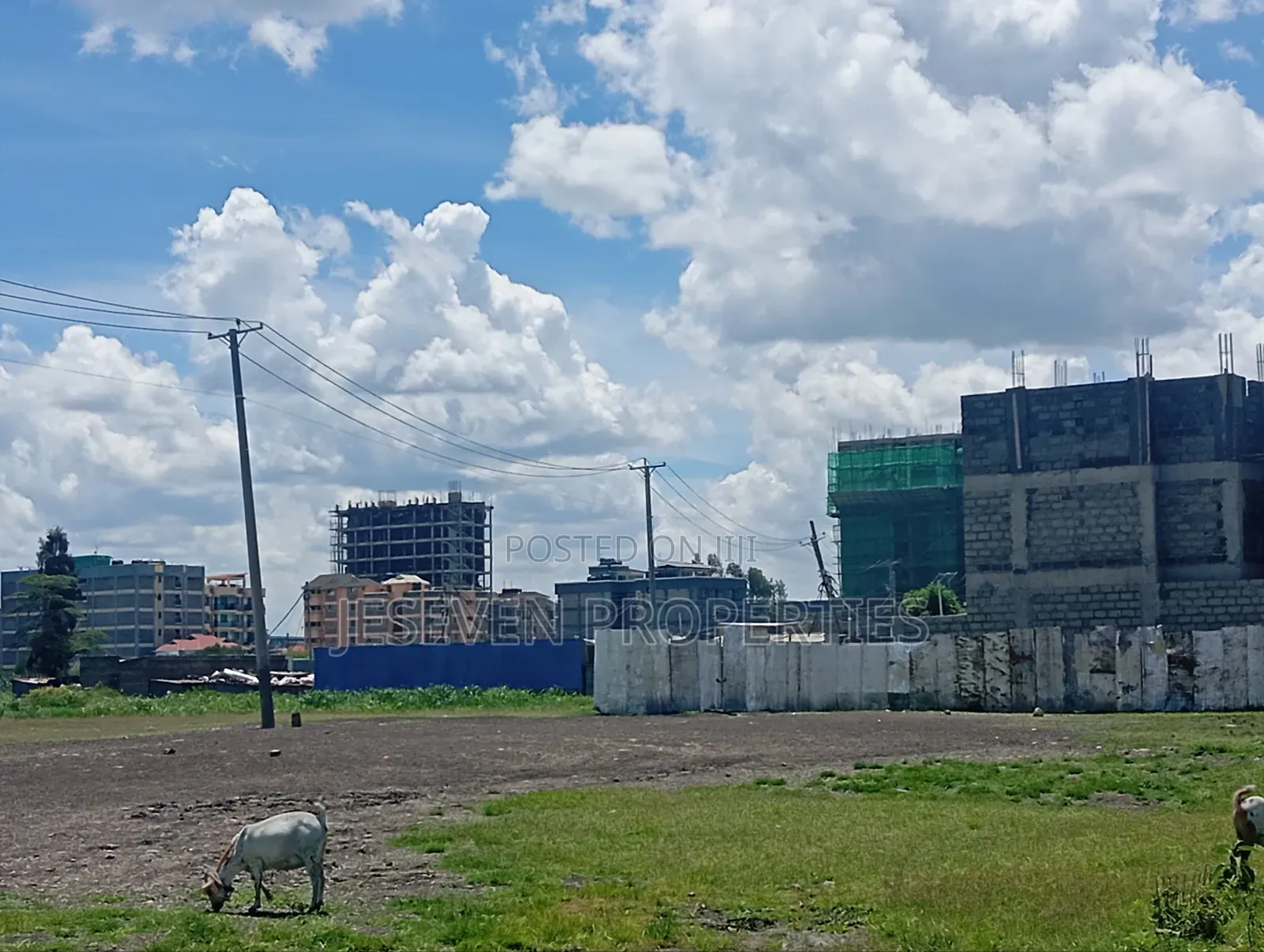 Quarter Plot 100*100 Plot for Sale in Syokimau