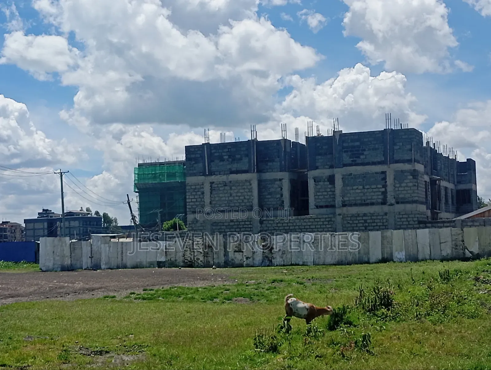 Quarter Plot 100*100 Plot for Sale in Syokimau