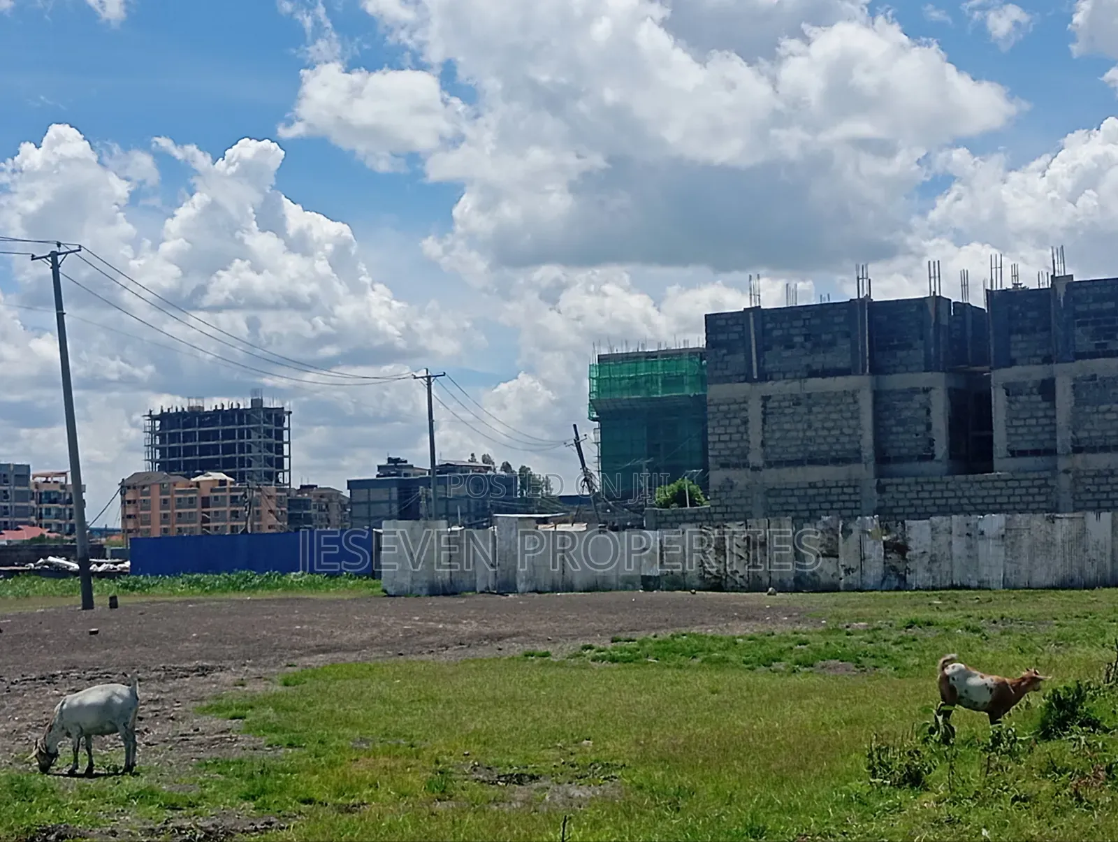 Quarter Plot 100*100 Plot for Sale in Syokimau