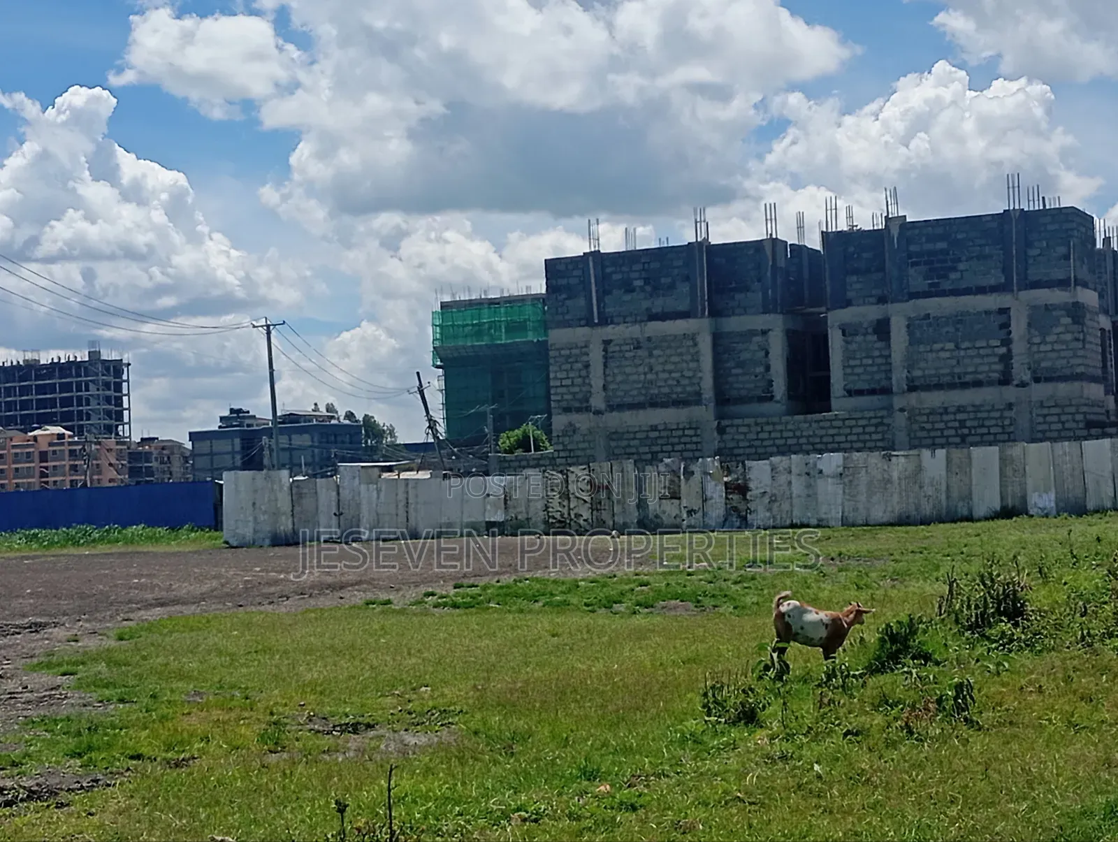 Quarter Plot 100*100 Plot for Sale in Syokimau