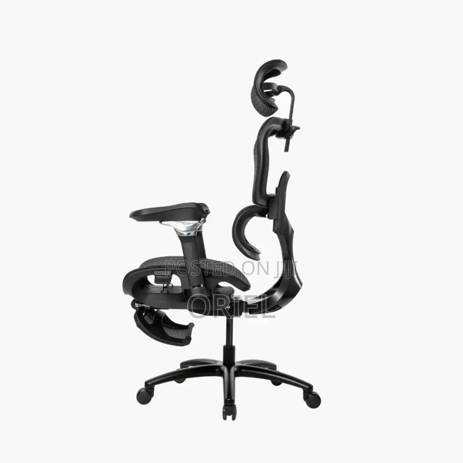 Office Chair : Office High-Back Orthopedic Mesh Chair