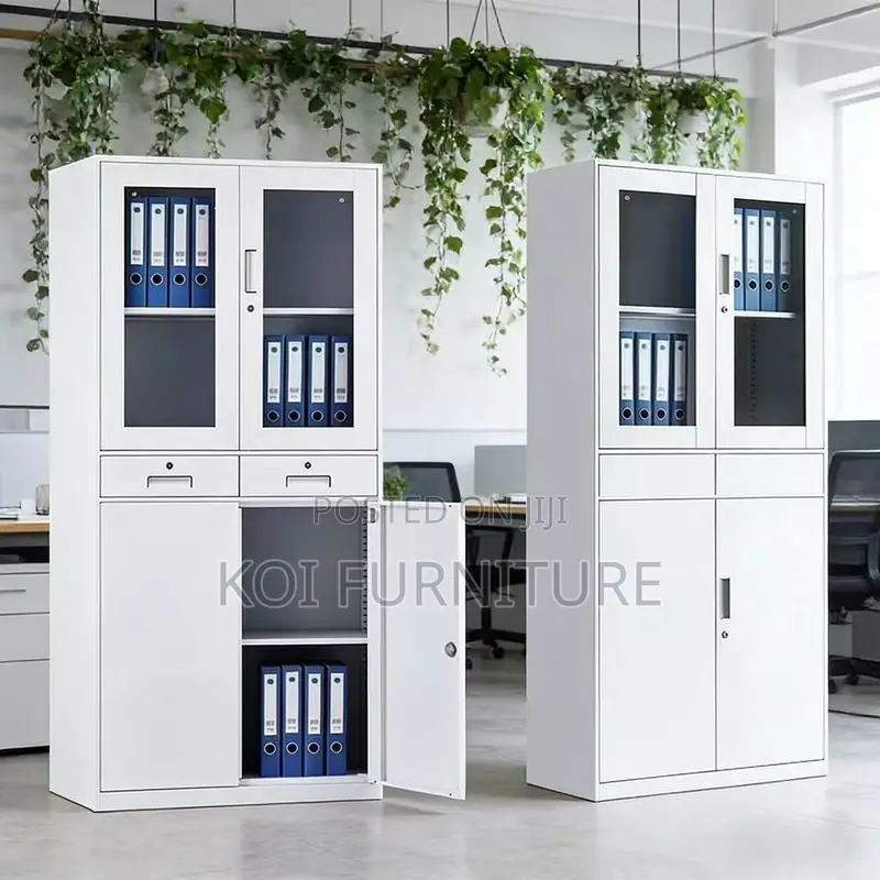Office Cabinet; Two Doors View Glass Upper Unique Cabinet