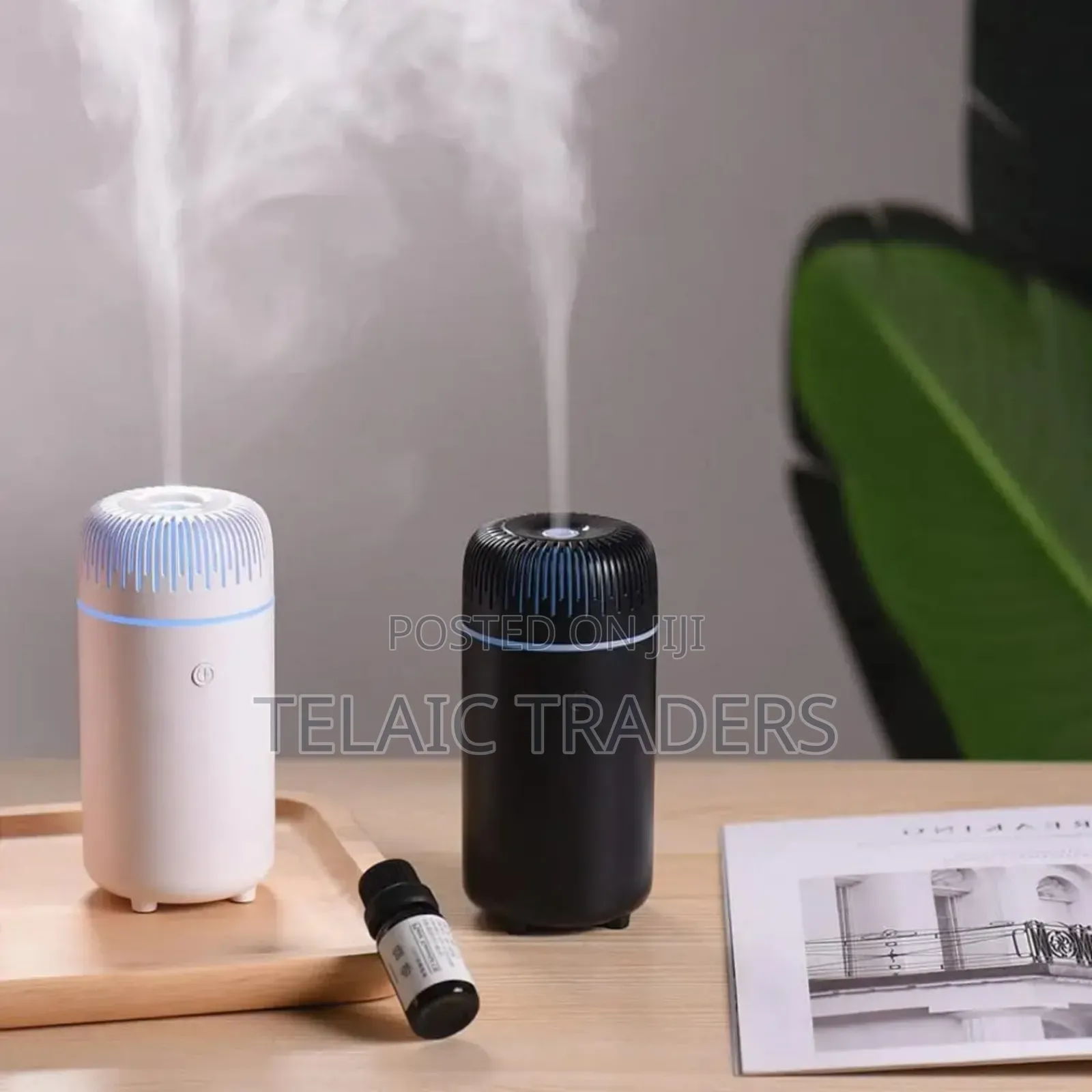 Portable Ultrasonic Humidifier/Diffuser