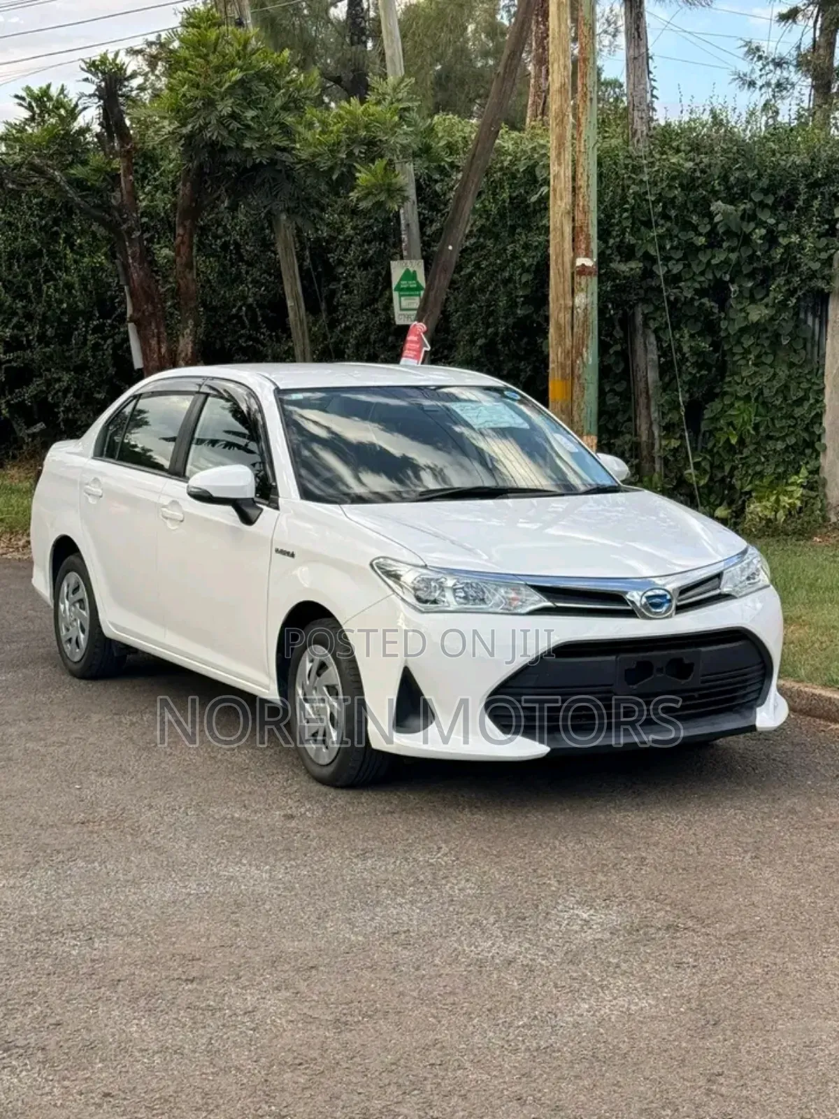 Toyota Axio 2019 Pearl