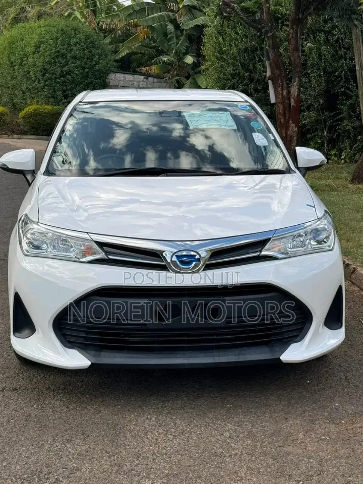 Toyota Axio 2019 Pearl