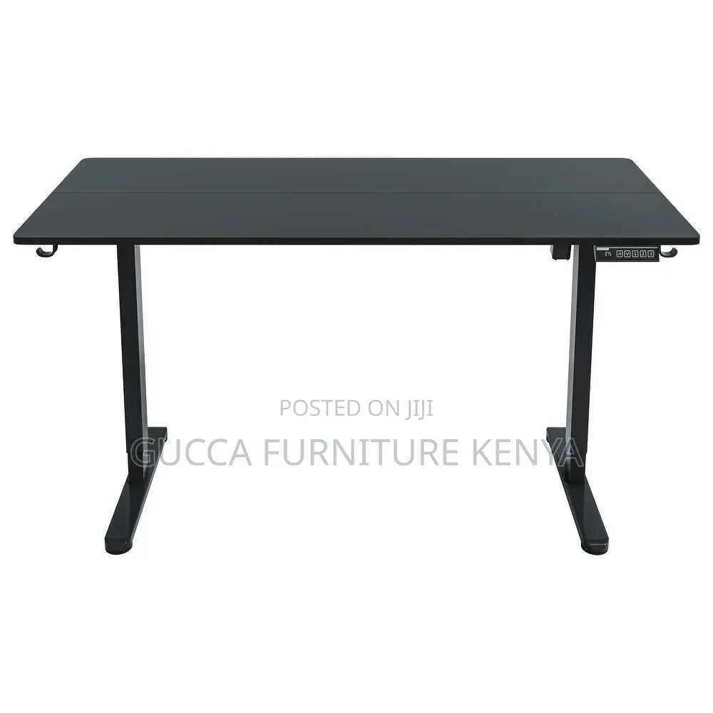 1.2m Ergonomic Computer Electric Standing Desk