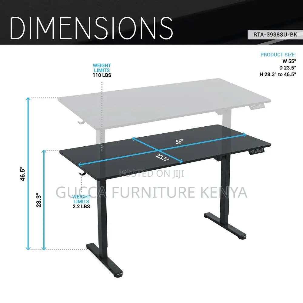 1.2m Ergonomic Computer Electric Standing Desk