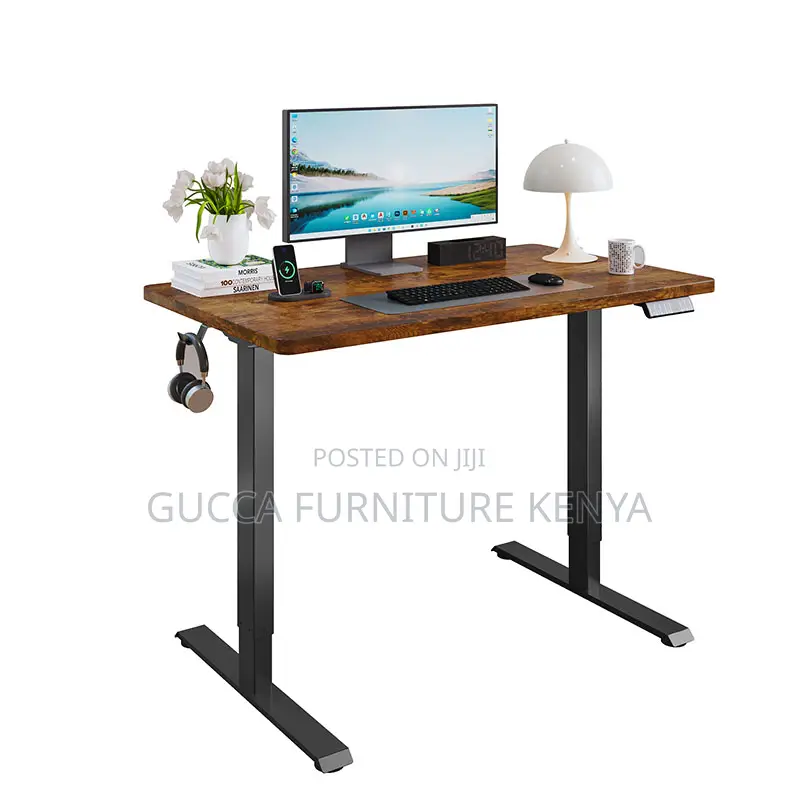Motorized Home Office Sit Stand Electric Desk