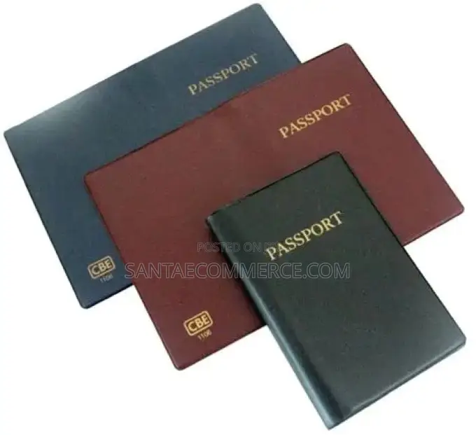 12 PCS Travelling Passport Holder