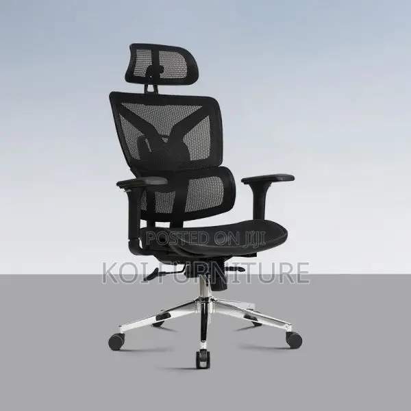 Office Chair : Ergonomic Office Chair