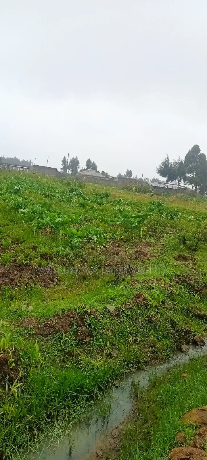 Land on Sale at Magumu Kinangop