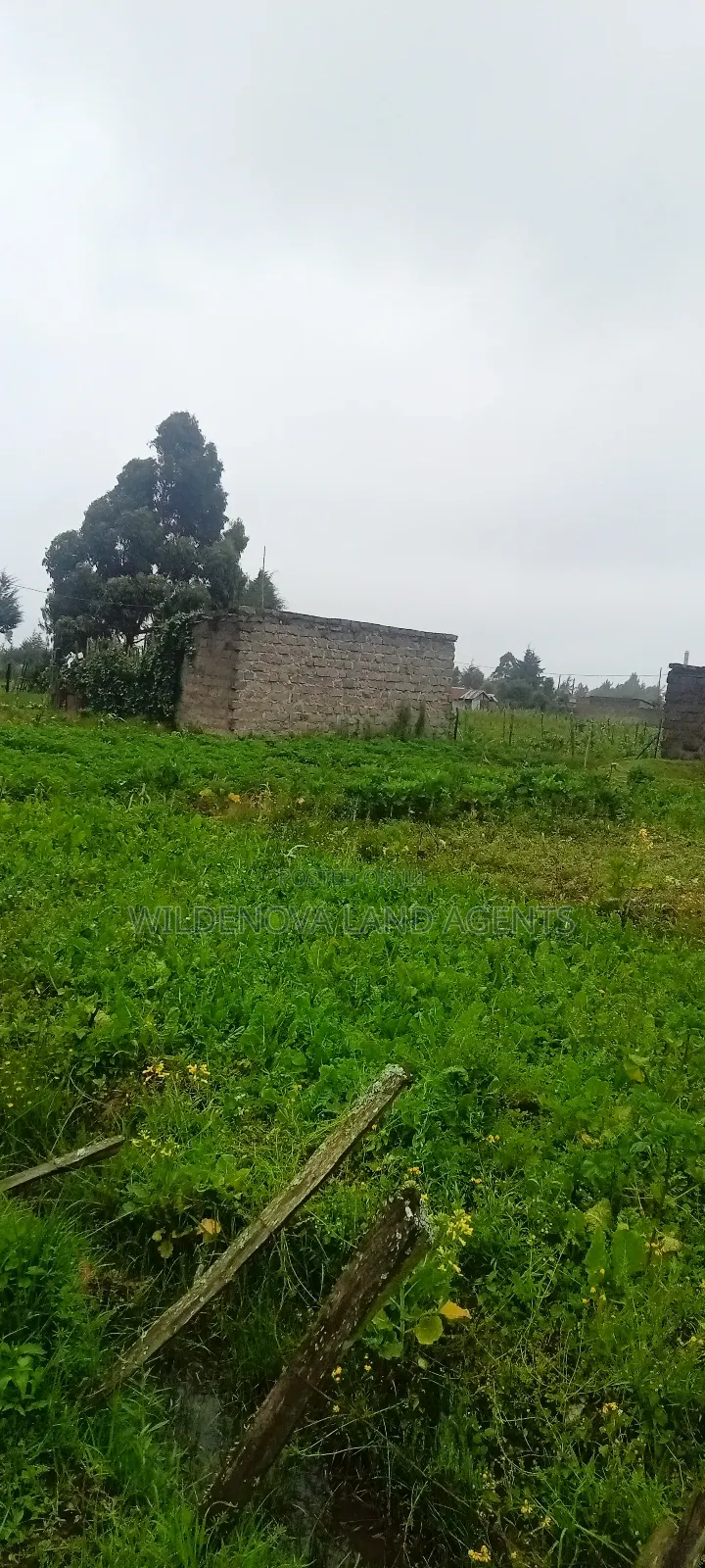 Land on Sale at Magumu Kinangop