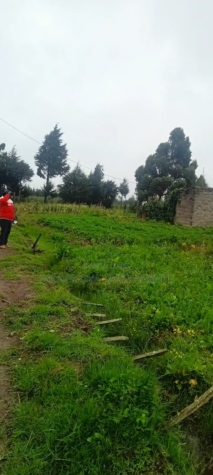 Land on Sale at Magumu Kinangop